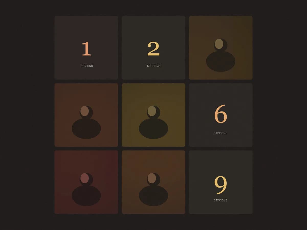 Meera Iyer project visual 2